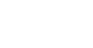 whiteowlgroup logo